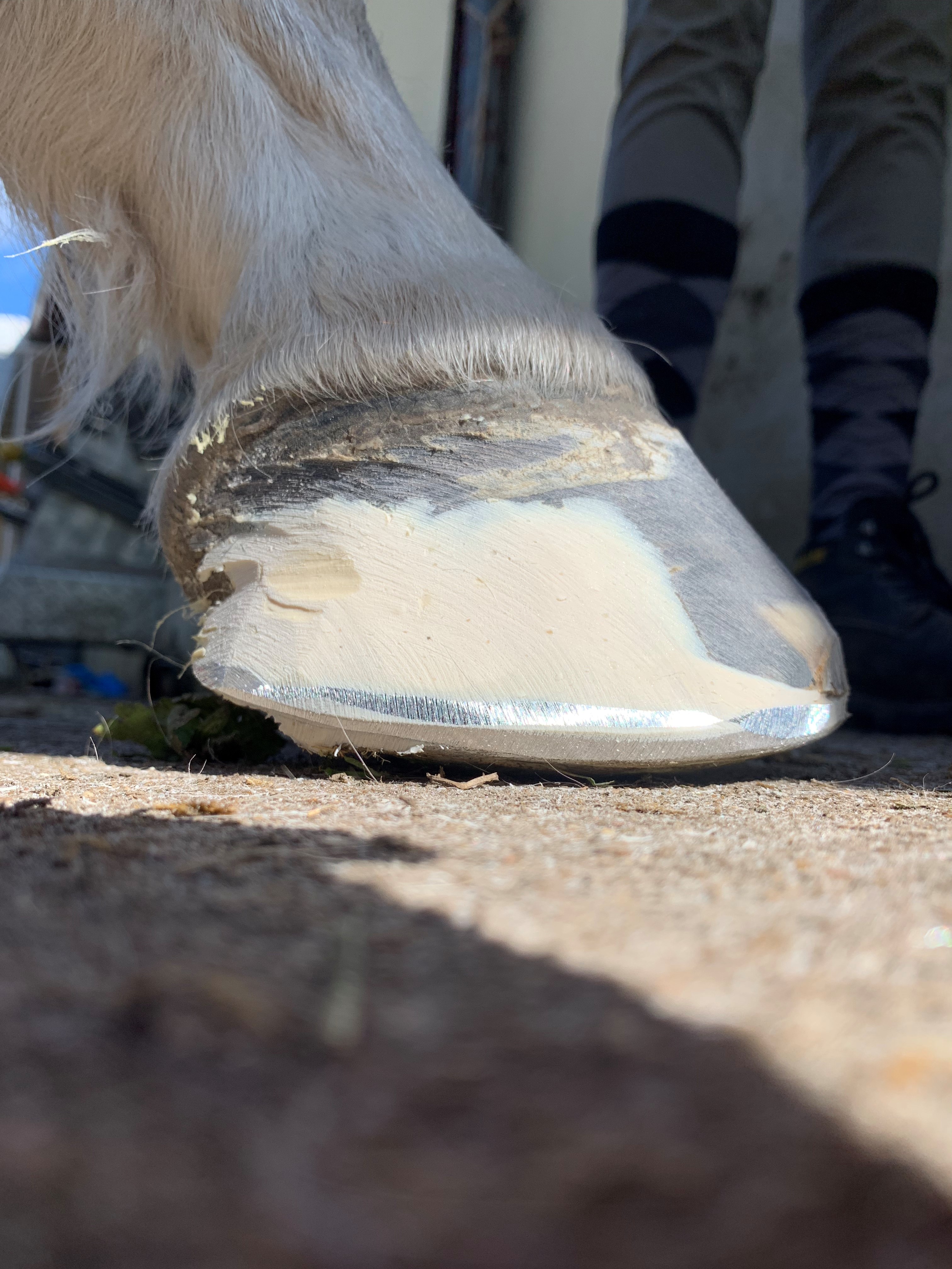 fer 360 acr alu collé topgun pour fourbu