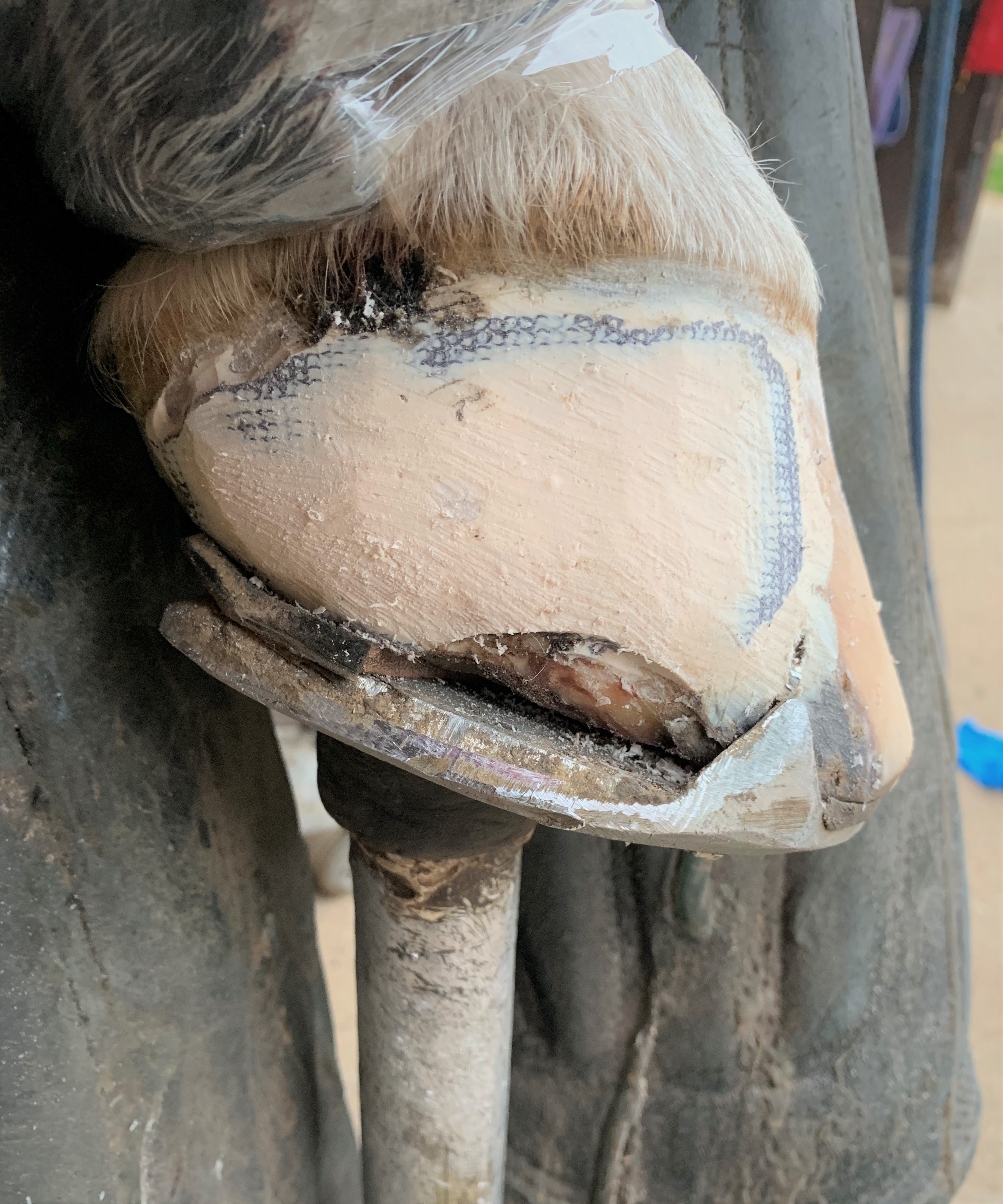 réparation d'une seime avec résine Topgum