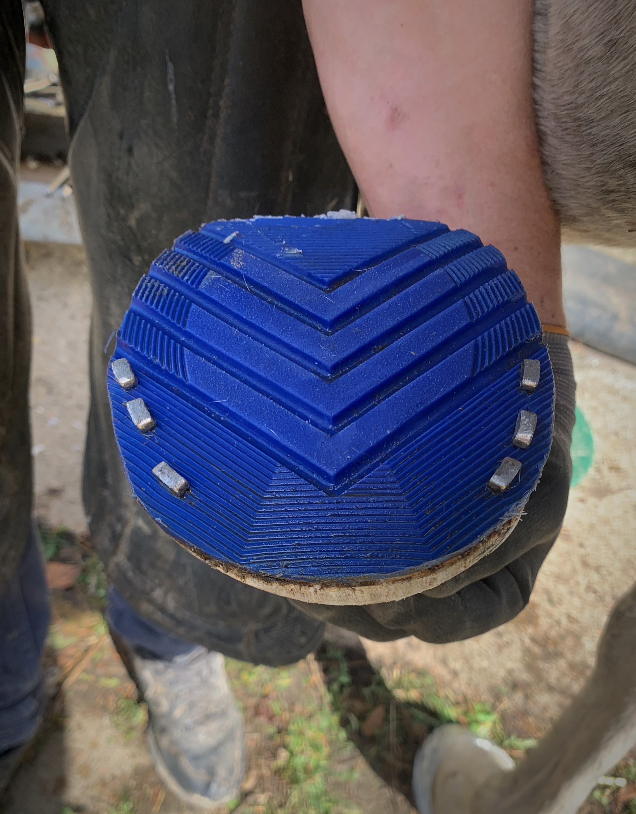 fer plastique Mx plate