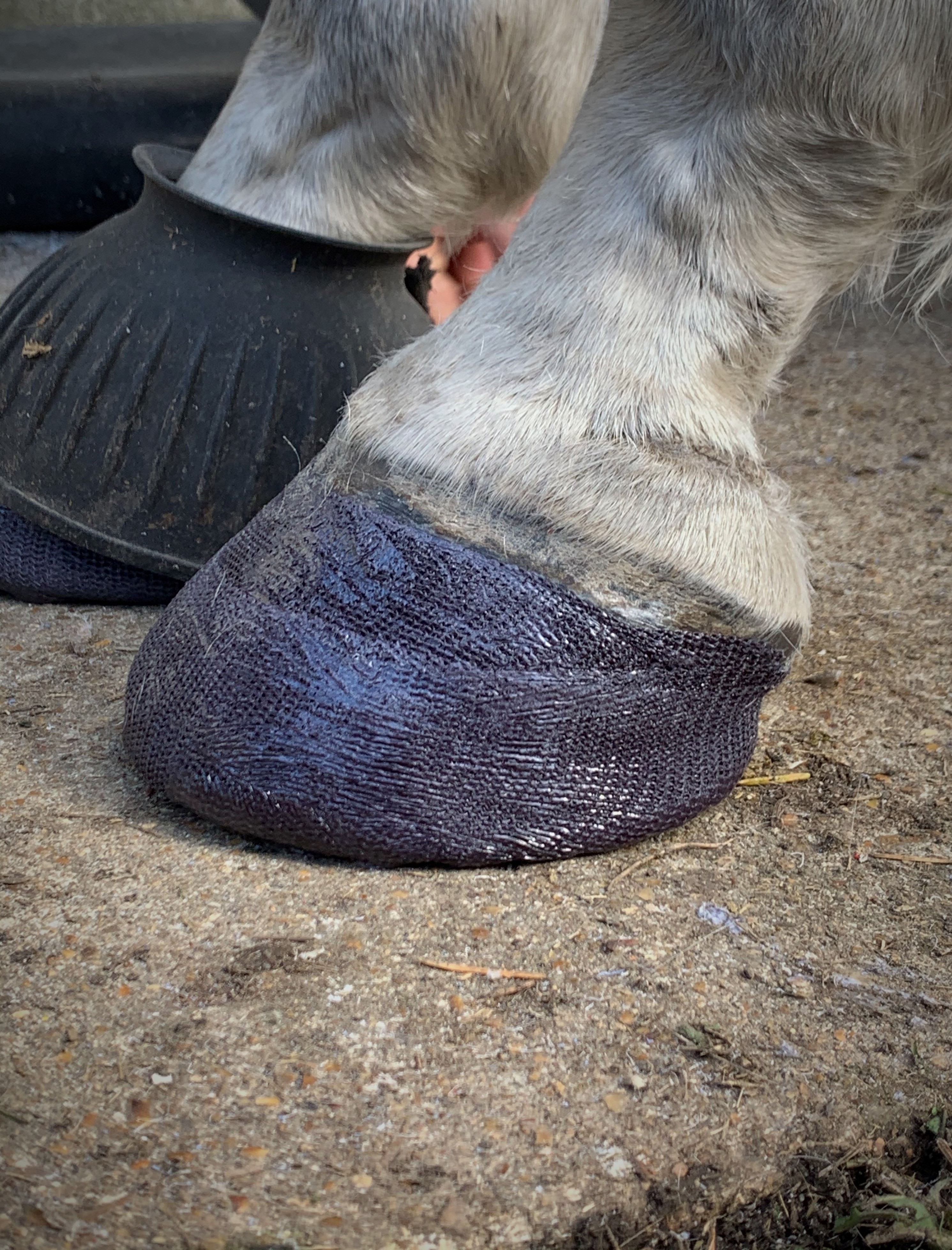 bande de resine equicast