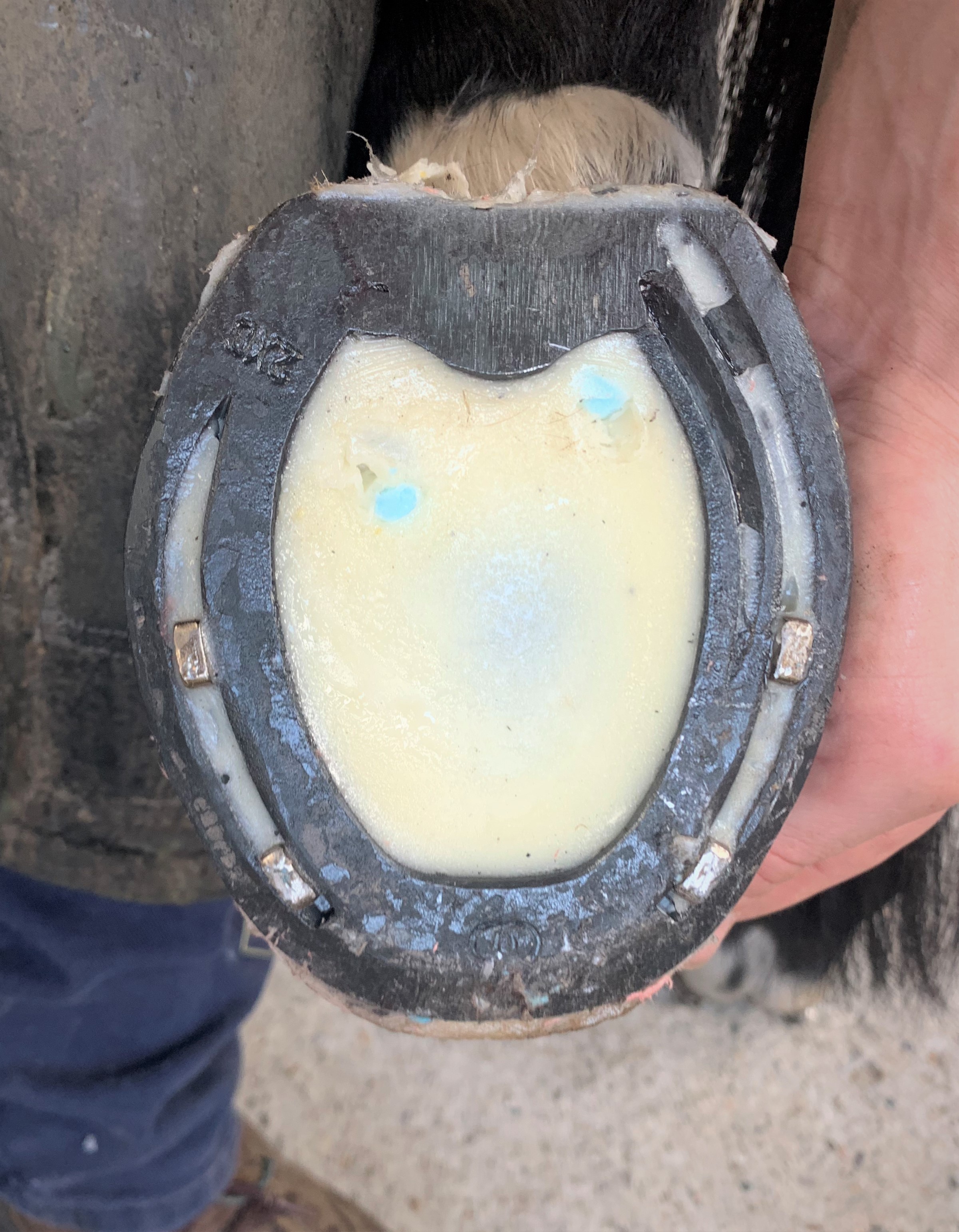 fer à planche postérieur en acier avec résine Luwex M9